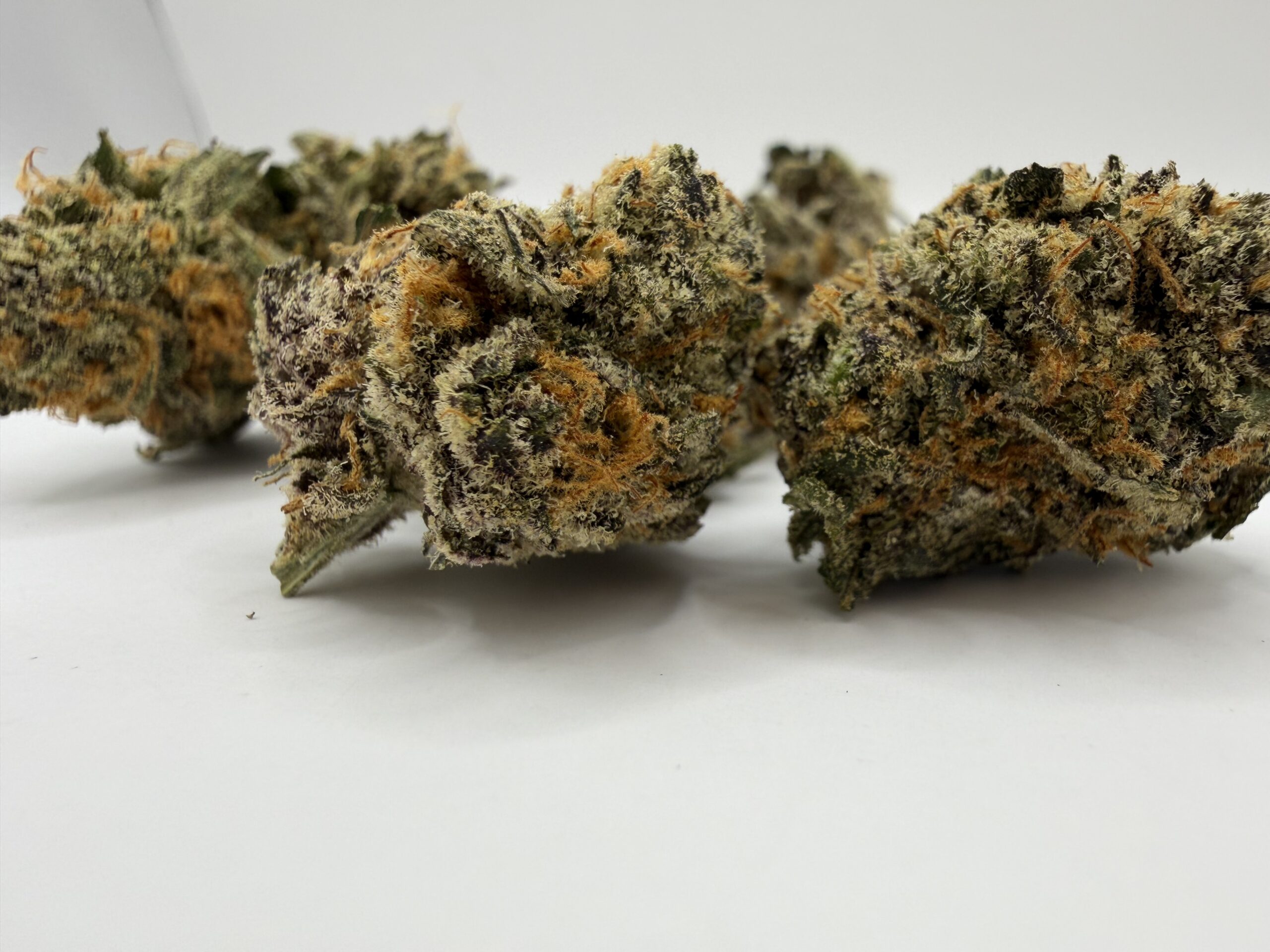 Blueberry Skunk - Image 2