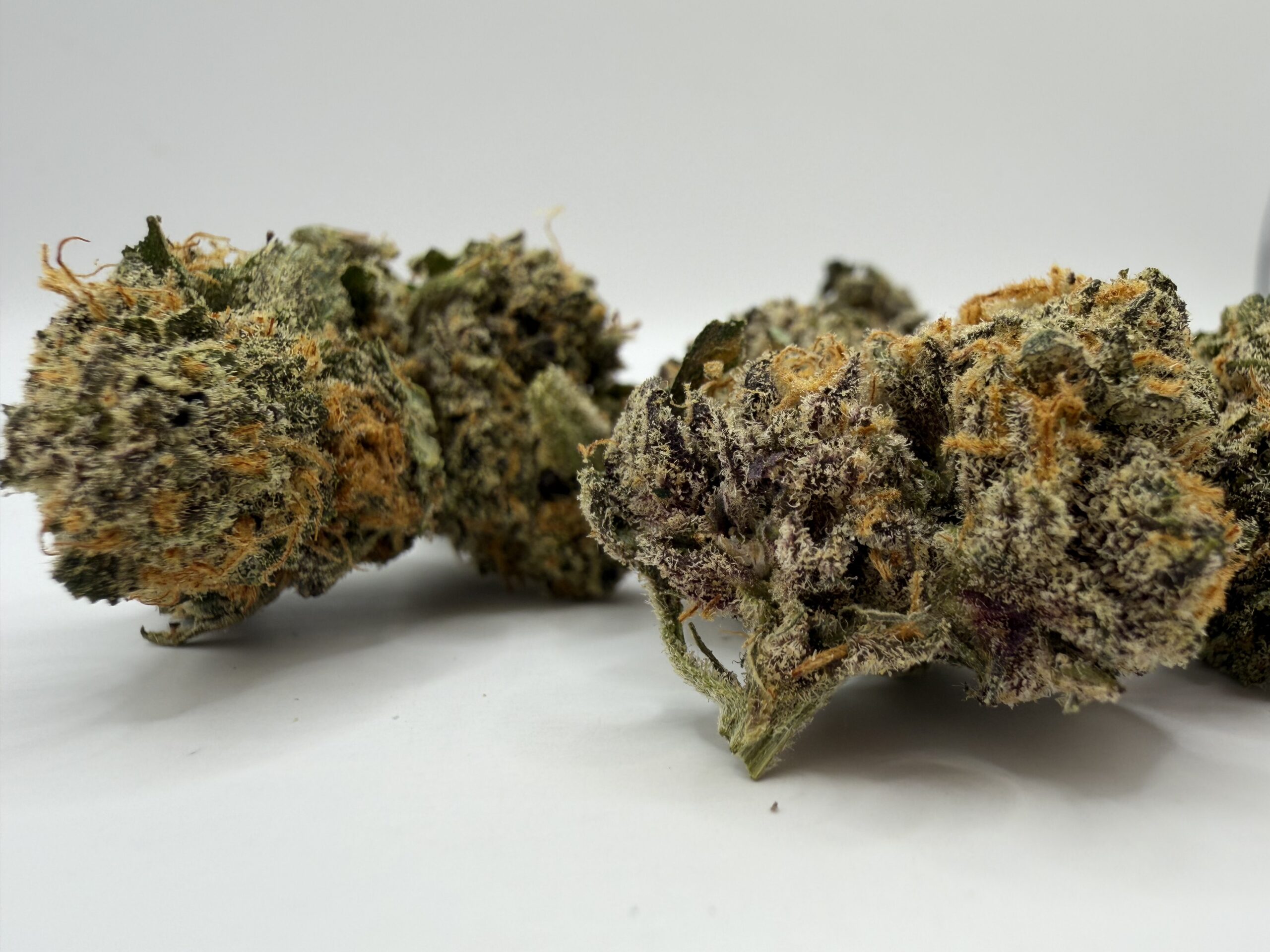 Blueberry Skunk - Image 3